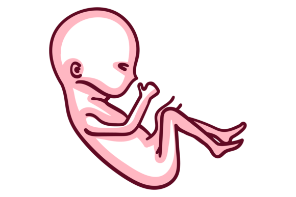 Embryo Color Icon: A Unique Fetus Symbol for Modern Design